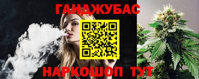 гашик Аргун