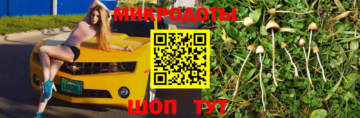 Псилоцибиновые грибы мицелий Волгодонск