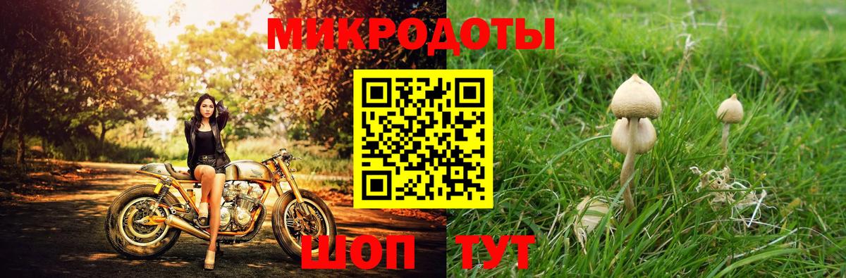 Галлюциногенные грибы Psilocybe  Вход с VPN  Волгодонск  где найти наркотики  Псилоцибиновые грибы мицелий 